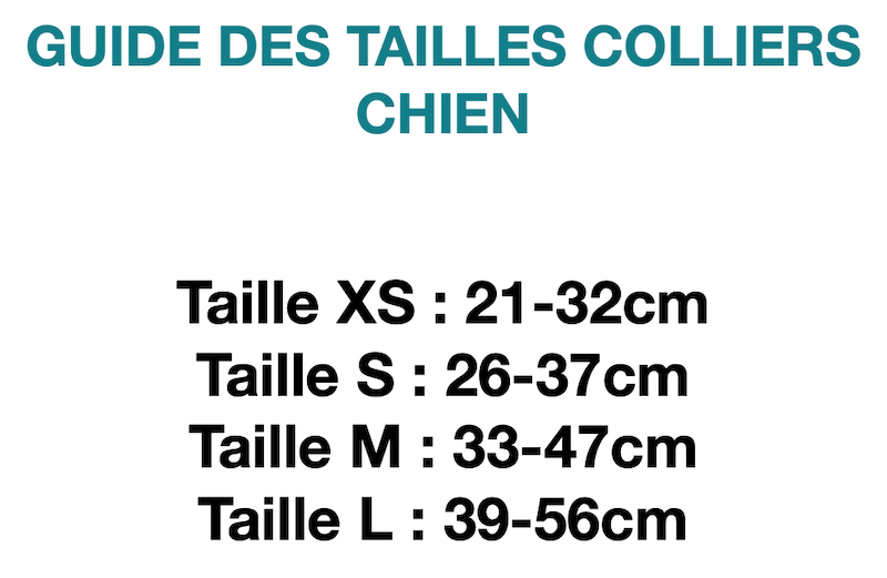 Collier SUMMER